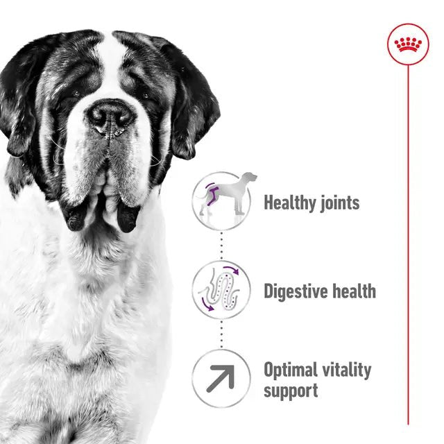 Royal Canin Giant Adult Dry Dog Food – 15kg - Pet Supply
